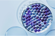 Ceramides