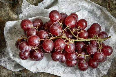 Resveratrol